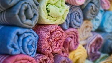 India Imposes Port Curbs on Import of Certain Bangladeshi Goods, Such As Readymade Garments and Processed Food Items