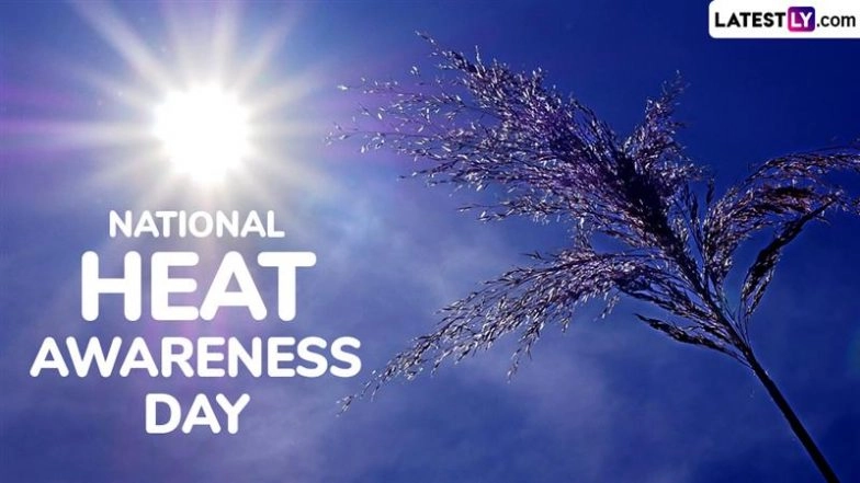 When Is National Heat Awareness Day 2025? All You Need To Know 