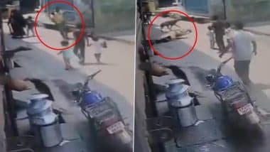 Sudden Death in Moradabad: Man Walking on Road Collapses, Dies of Suspected Heart Attack in Uttar Pradesh (Watch Video)