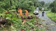 Kerala Rains- Weather Forecast: Kerala Reels Under Monsoon Fury As Gusty Winds, Heavy Rains Cause Widespread Damage; Several Trains Running Late