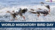 World Migratory Bird Day 2025 Quotes and Images: Best Sayings, Messages, Greetings and HD Wallpapers To Raise Awareness About the Migratory Birds