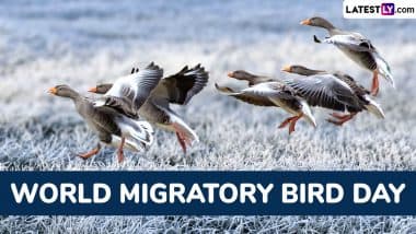 Happy World Migratory Bird Day 2025 Messages To Send on May 10 