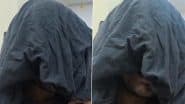 ‘Mele Babu Ne Khana Khaya?’ Used for Cyber Fraud: MP Youth Held for Posing as Woman, Using Fake Nude Pics To Dupe Men; Video of Fraudster Imitating Female Voice Surfaces