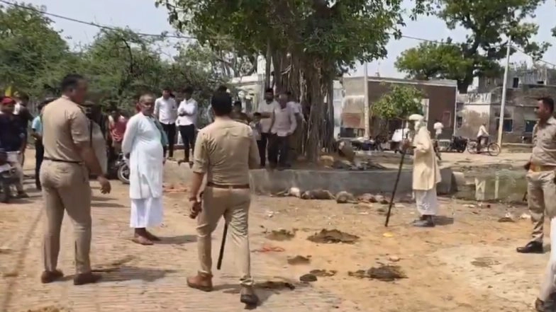 Monkey Deaths in Mathura: Foreign ‘Sadhu’ Detained by UP Police for Allegedly Killing Dozens of Monkeys With Air Gun in Govardhan (Watch Videos)