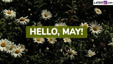 May 2025 Captions and Quotes: Netizens Share Meaningful Messages, Positive Affirmations, HD Images, Wallpapers, Nature Photos and Sayings To Start New Month