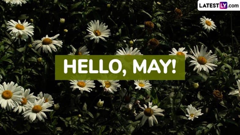 May 2025 Captions and Quotes: Netizens Share Meaningful Messages, Positive Affirmations, HD Images, Wallpapers, Nature Photos and Sayings To Start New Month