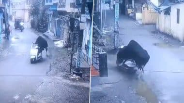 Rishikesh: Bull ‘Runs Away’ With Scooter Parked on Roadside in Uttarakhand, Video Goes Viral