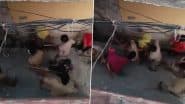 Meerut: Cops Allegedly Assault Dalit Women During Domestic Dispute in UP, Police Respond After Video Goes Viral