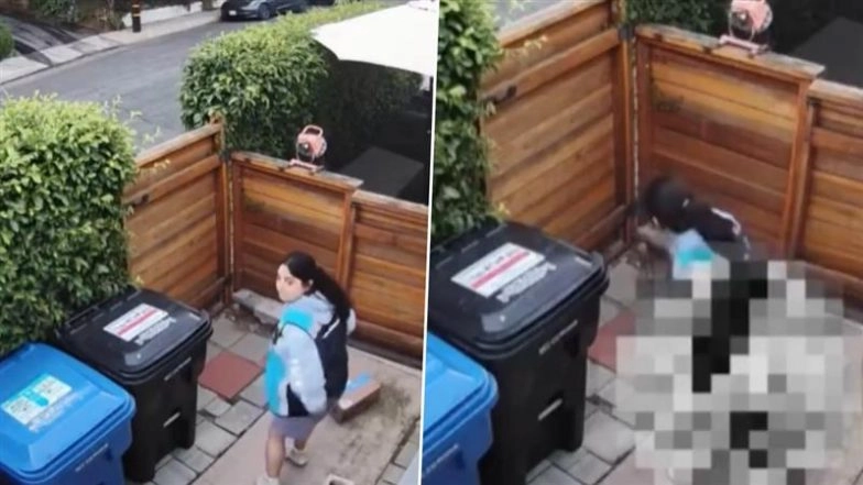 Amazon Delivery Driver Poops and Urinates on Homeowners’ Doorstep in Los Angeles, Fired After CCTV Video Surfaces