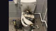 Noida: Man Suffers 35% Burn After Western Toilet Seat Explodes (See Pic)