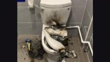 Noida: Man Suffers 35% Burn After Western Toilet Seat Explodes (See Pic)