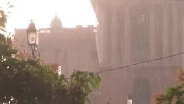 Delhi Rains: Rainfall Lashes Parts of National Capital After Duststorm, Video Surfaces