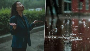 Thunder and Rain Sounds For Peaceful Sleep During Summer 