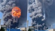 China Chemical Plant Blast: 5 Killed, 19 Injured, Six Missing After Explosion Rocks Chemical Plants In Shandong Province (Watch Videos)