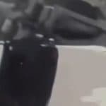 Washington: Video of Female Secret Service Agents Fighting Outside Barack Obama’s Home Over Shift Delay Goes Viral