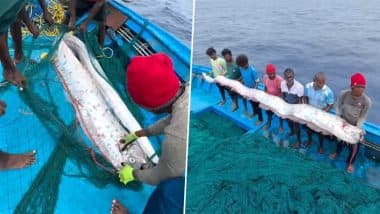 ‘Doomsday Fish’ in Tamil Nadu: Fishermen Catch Rare Oarfish, Video Goes Viral