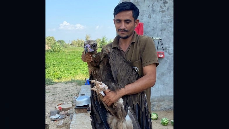 Radheshyam Pemani Bishnoi Killed in Road Accident