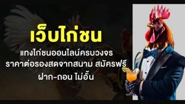 เว็บไก่ชน แทงไก่ชนออนไลน์ครบวงจร ราคาต่อรองสดจากสนาม สมัครฟรี ฝาก-ถอน ไม่อั้น