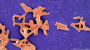 12 Deadly Infectious Diseases Vaccines Protect Us from