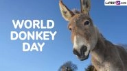 World Donkey Day: Funny Baby Donkey Photos and Fun Facts for Curious Kids