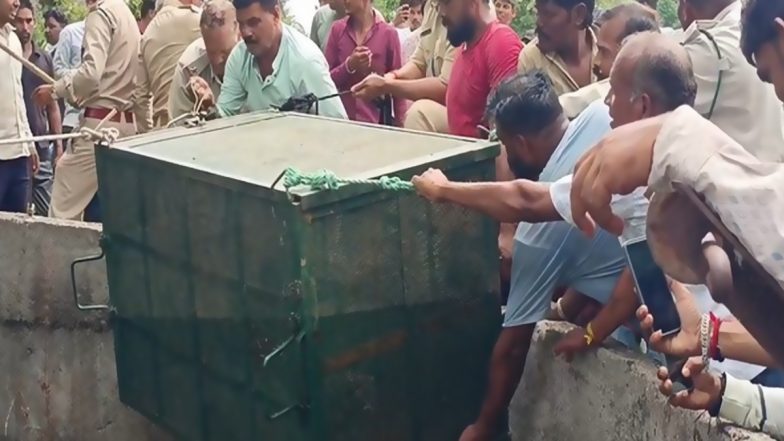 Madhya Pradesh: Leopard Rescued Safely After Falling Into Well Near Indore