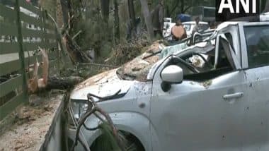 India News | Himachal: Thunderstorm in Shimla Uproots Tree, Crushes Three Parked Vehicles