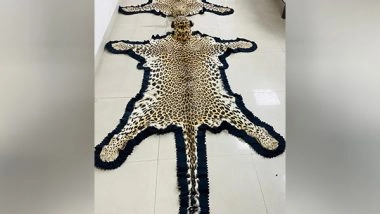 India News | DRI Seizes Leopard Skins and Ivory in Ujjain, Arrests Two Traders