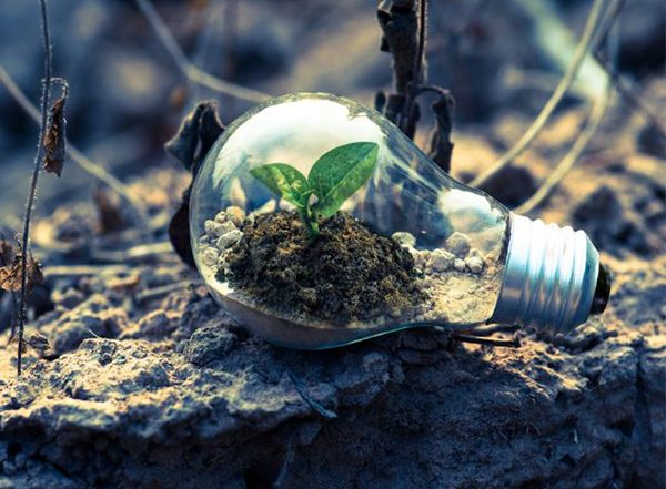 Business News | Climate Resilience Tools to Hit USD 1.3 Trillion by 2030, Opening Doors for Private Players: Report