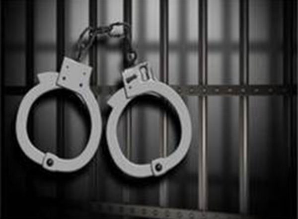 India News | Pune: 19-Year-old Woman Arrested over Pakistan Zindabad Instagram Post