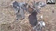India News | Debris of Projectile Retrieved in Punjab's Jalandhar as Pakistan Violates Indian Airspace