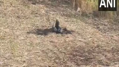 India News | Fragments of Projectile Retrieved at Nall Village in Punjab's Mansa