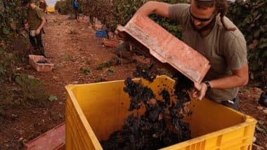 World News | Israel Launches USD 1.4B National Food Security Strategy for 2050 Amid Growing Threats