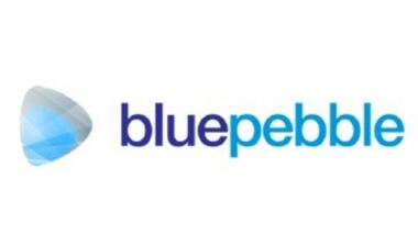 Business News | Blue Pebble Ltd Doubles Revenue in FY25; Diversifies into High-Growth Verticals