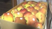 India News | Fruit Merchants in MP's Gwalior Express Strong Protest Against Turkey Imported Apples Amid Recent India-Pak Tension