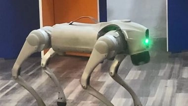 India News | Coimbatore Engineers Develop AI-powered Dog Robot for Multi-tasking