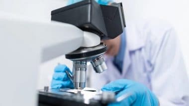 Health News | Study Reveals Impact of Oft-overlooked Cell in Brain Function