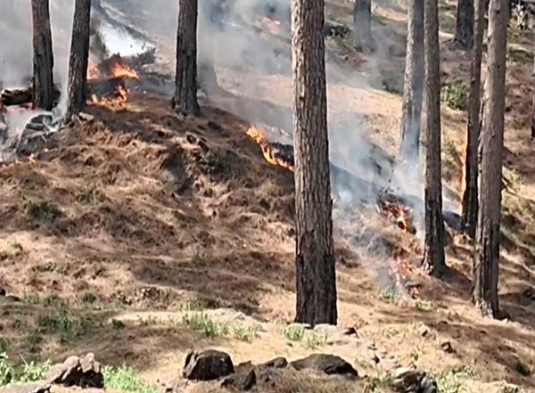 India News | Jammu and Kashmir: Forest Officials Battle Growing Fires Amid Dry Spell in Rajouri