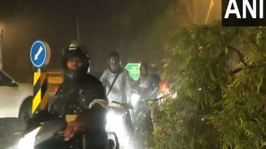 India News | Delhi Sees Gusty Winds, Hailstorm and Heavy Rain as People Feel Relief from Heat; Flights Impacted