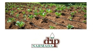 Business News | Narmada Macplast Reports Rs539.17 Lakhs Profit for FY25; Declares Rs0.10 Interim Dividend - A Year of Strong Financial Performance & Stakeholder Value Creation!