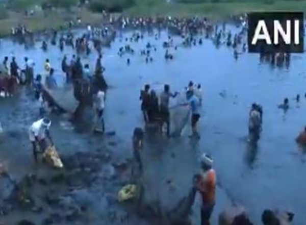 India News | Tamil Nadu: Villagers Celebrate Centuries-old Fishing Festival at Kallandhiri Village