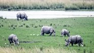India News | Pobitora Wildlife Sanctuary Sets Benchmark in Rhino Conservation with Zero Poaching for 11 Years