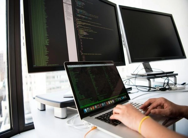 Business News | Tech-enabled Background Checks Will Minimise Rising Employment Fraud: EY