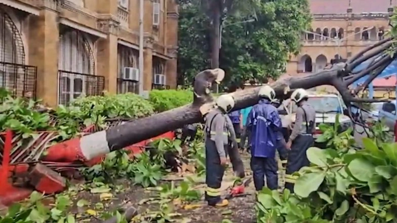 Mumbai Rains: Occupants Escape Unharmed As Tree Falls on Car at Parking Lot of CSMT Station Premises Due to Strong Winds (Watch Video)