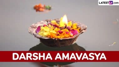 Darsha Amavasya in May 2025 Date and Time: Know Tithi, Rituals and Spiritual Significance of the Sacred Lunar Observance