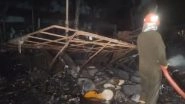 Delhi Fire: 24 Shops Gutted After Massive Blaze Erupts at Dilli Haat Market; No Casualties Reported (Watch Videos)