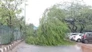 Delhi Rains: Traffic Disrupted, Trees Uprooted and Vehicles Break Down As Heavy Rainfall Causes Waterlogging in National Capital (Watch Videos)