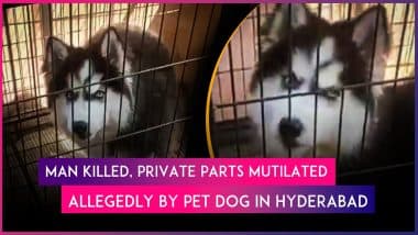 Hyderabad Horror: Man Mauled to Death, Private Parts Mutilated Allegedly by Pet Husky Dog