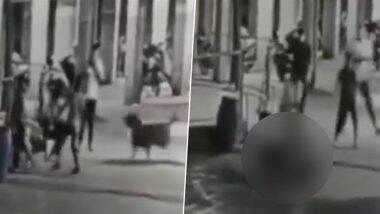 Dog Attack in Ahmedabad: 4-Month-Old Infant Mauled to Death by Pet Rottweiler in Hathijan Area, Disturbing Video Goes Viral