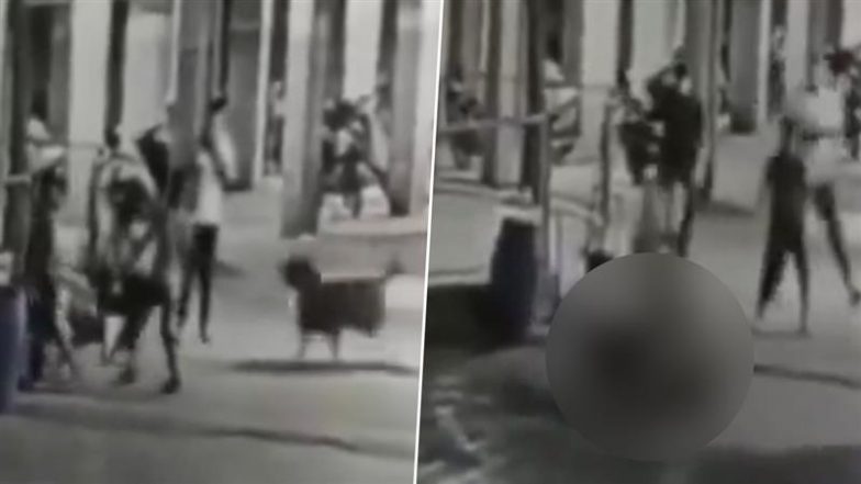 Dog Attack in Ahmedabad: 4-Month-Old Infant Mauled to Death by Pet Rottweiler in Hathijan Area, Disturbing Video Goes Viral