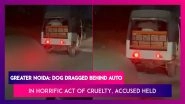 Animal Cruelty in Greater Noida: Man Drags Dog Tied to Autorickshaw, Police Arrest Him After Disturbing Video Goes Viral
